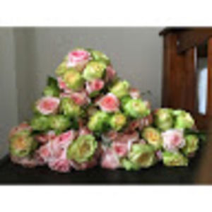 Meet your Posher, Gamilh